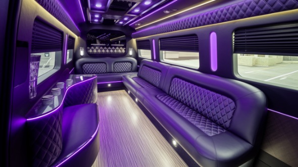 aurora party bus rental rental